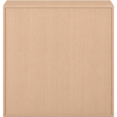 Pureo Schappenkast open decor B 100 x H 100 x D 60 cm in beuken – aanzicht 3