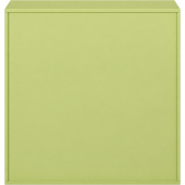 Pureo Schappenkast open decor B 100 x H 100 x D 60 cm in lindegroen – aanzicht 3