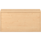 Pureo Kast met dubbele deur decor B 100 x H 50 x D 42 cm in ahorn – aanzicht 4